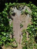 image number DSC_4150